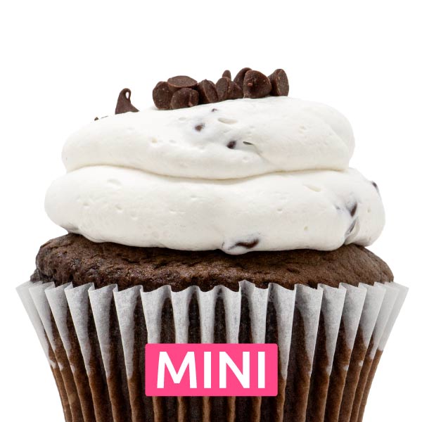 Chocolate with Chocolate Chip Mousse Mini Cupcakes - Dozen