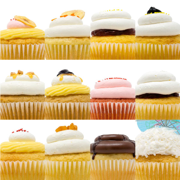 Cupcake 12 Pack :|: Holiday Gift Box