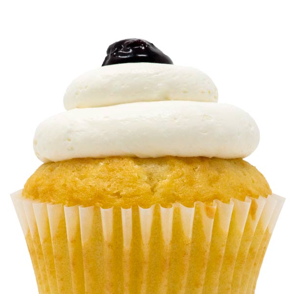 Blueberry Bliss Cupcake