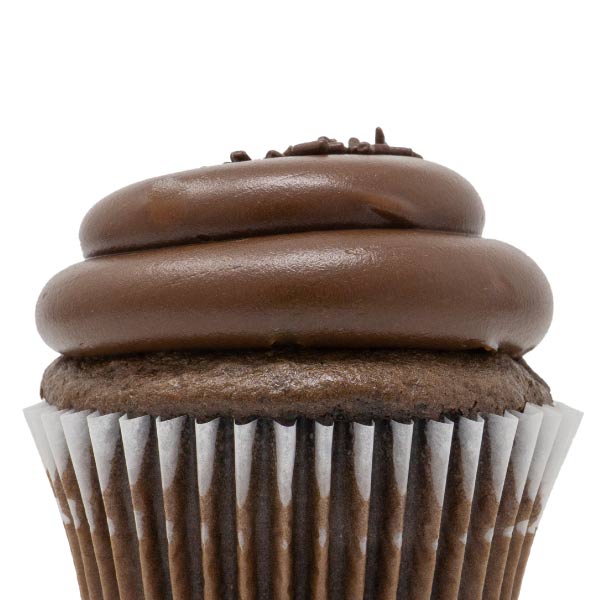 Chocolate with Chocolate Fudge Cupcake