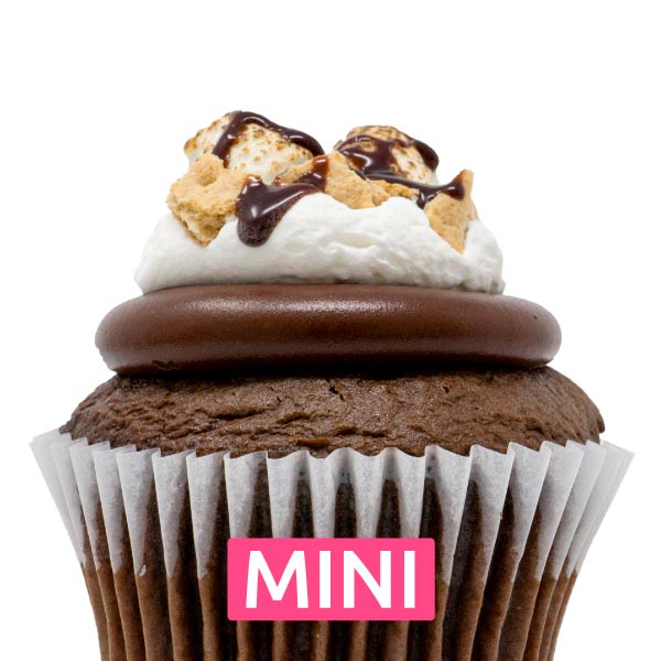 S'mores Mini Cupcakes - Dozen
