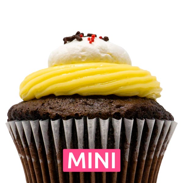 Chocolate Strawberry Cream Mini Cupcakes - Dozen