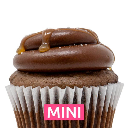 Chocolate Caramel Salty Mini Cupcakes - Dozen