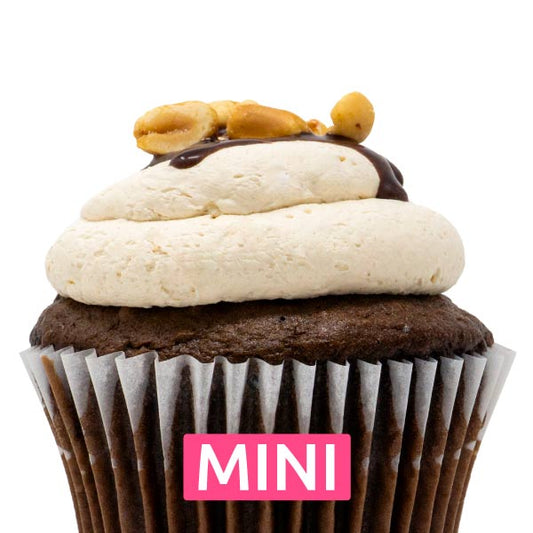 Chocolate with Peanut Butter Mousse Mini Cupcakes - Dozen