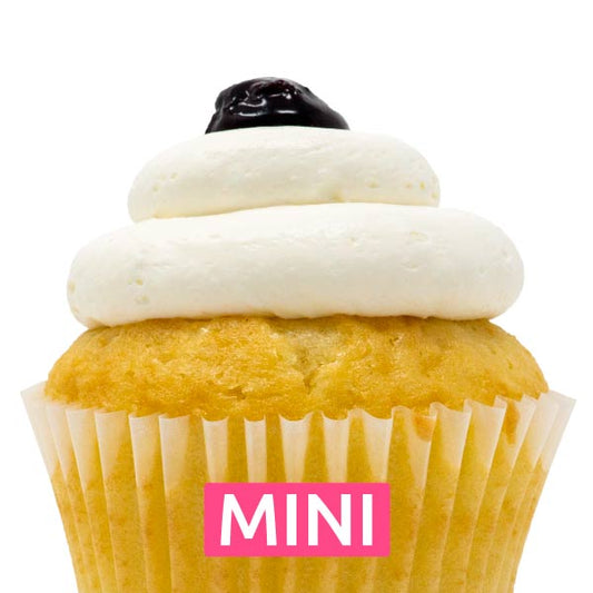 Blueberry Bliss Mini Cupcakes - Dozen