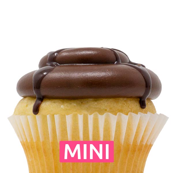 Delicious Eclair Mini Cupcakes - Dozen – Patty’s Cakes and Desserts