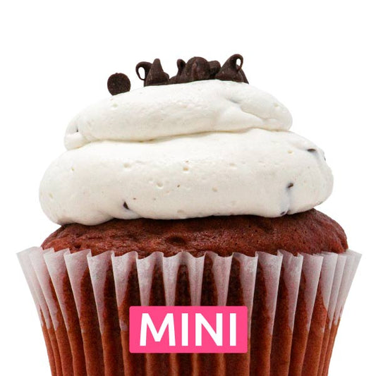Red Velvet with Chocolate Chip Mousse Mini Cupcakes - Dozen