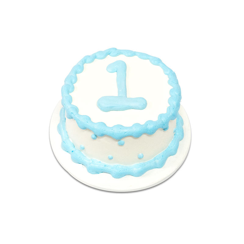 Rustic Boy Cake Smash | Cody's First Birthday Cake Smash Preview